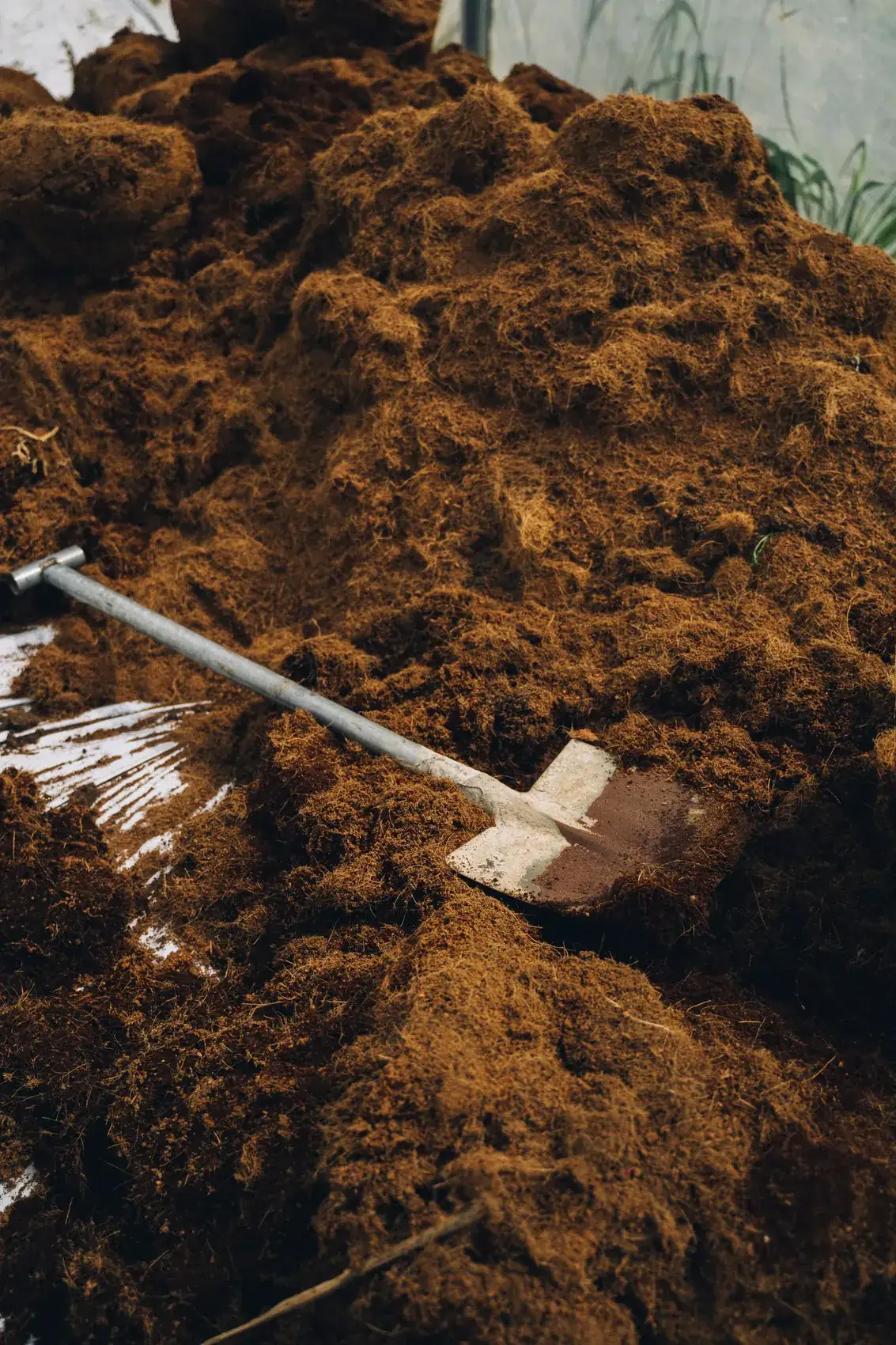 Loose coco pith used as animal bedding