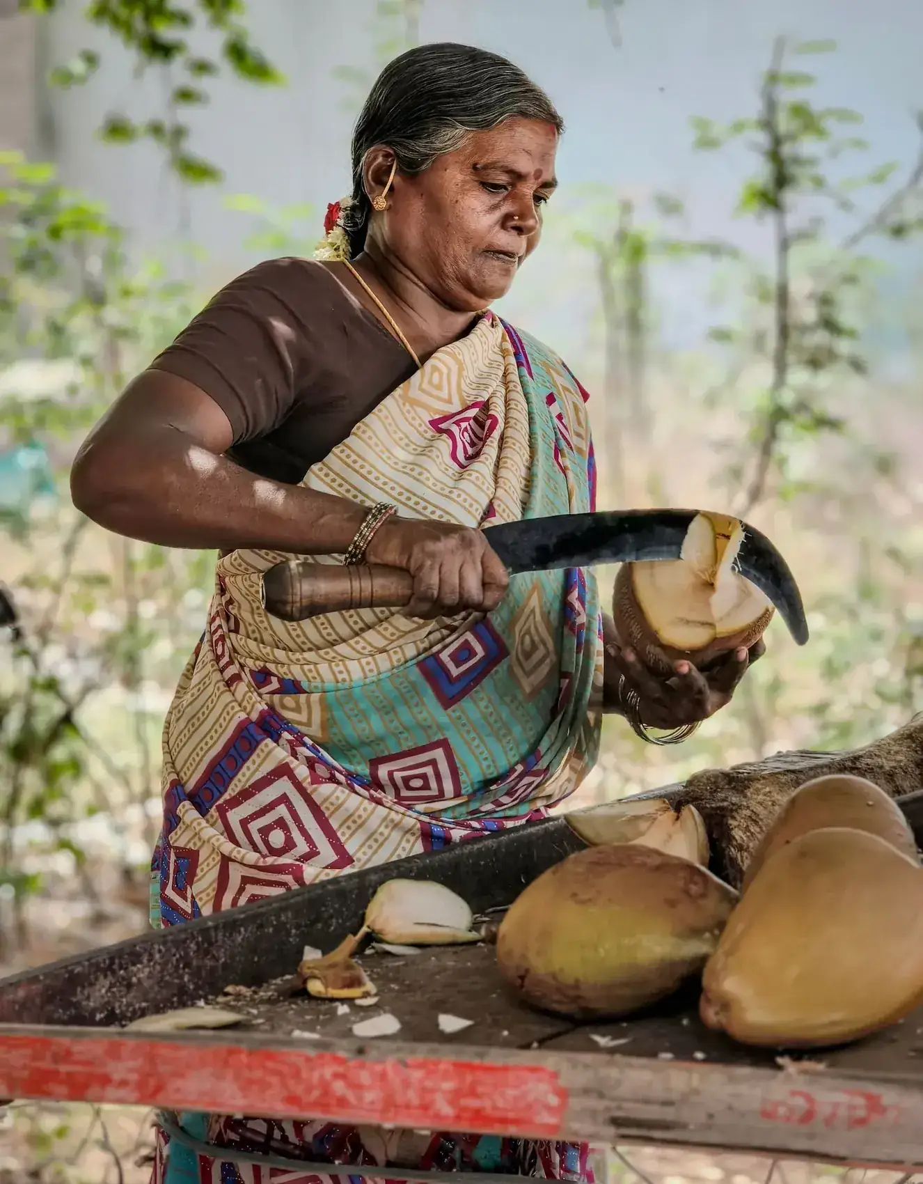 Woman preparing fresh coconuts in South India