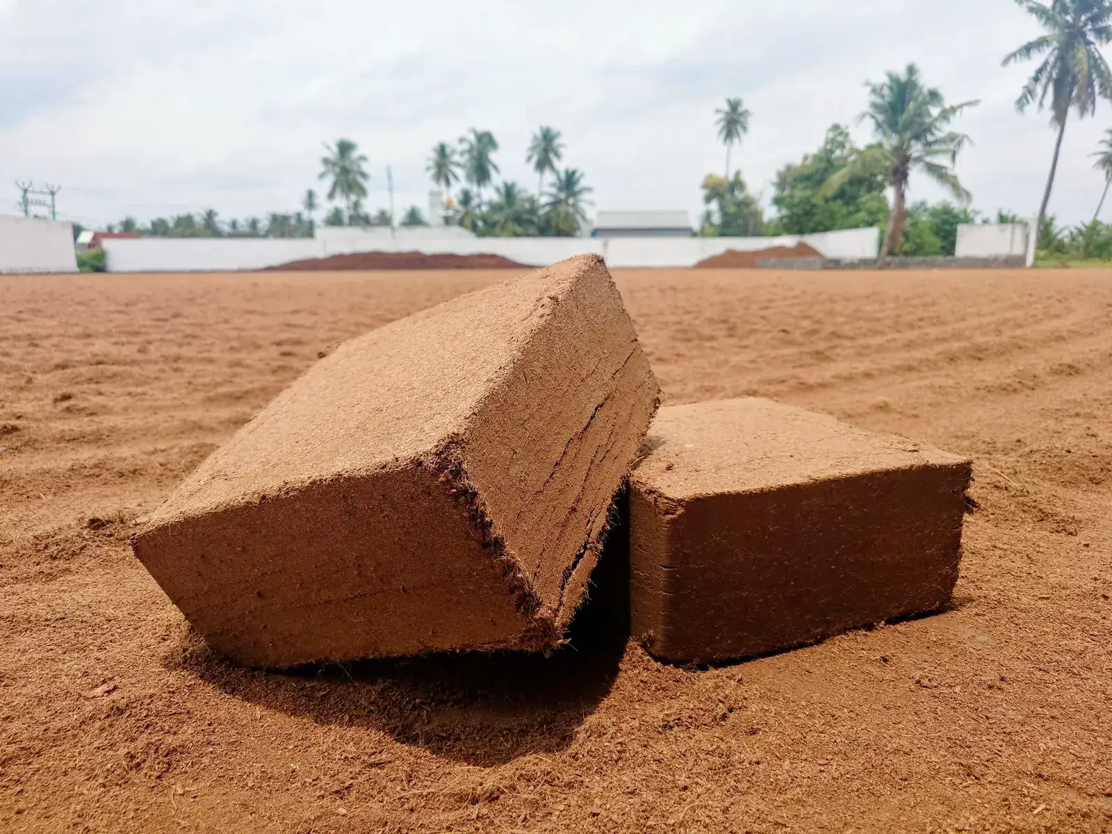 Compressed coco peat blocks drying on a farm yard in Tamil Nadu