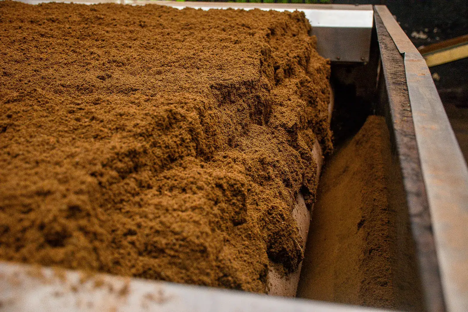 Screened coco pith on the processing line