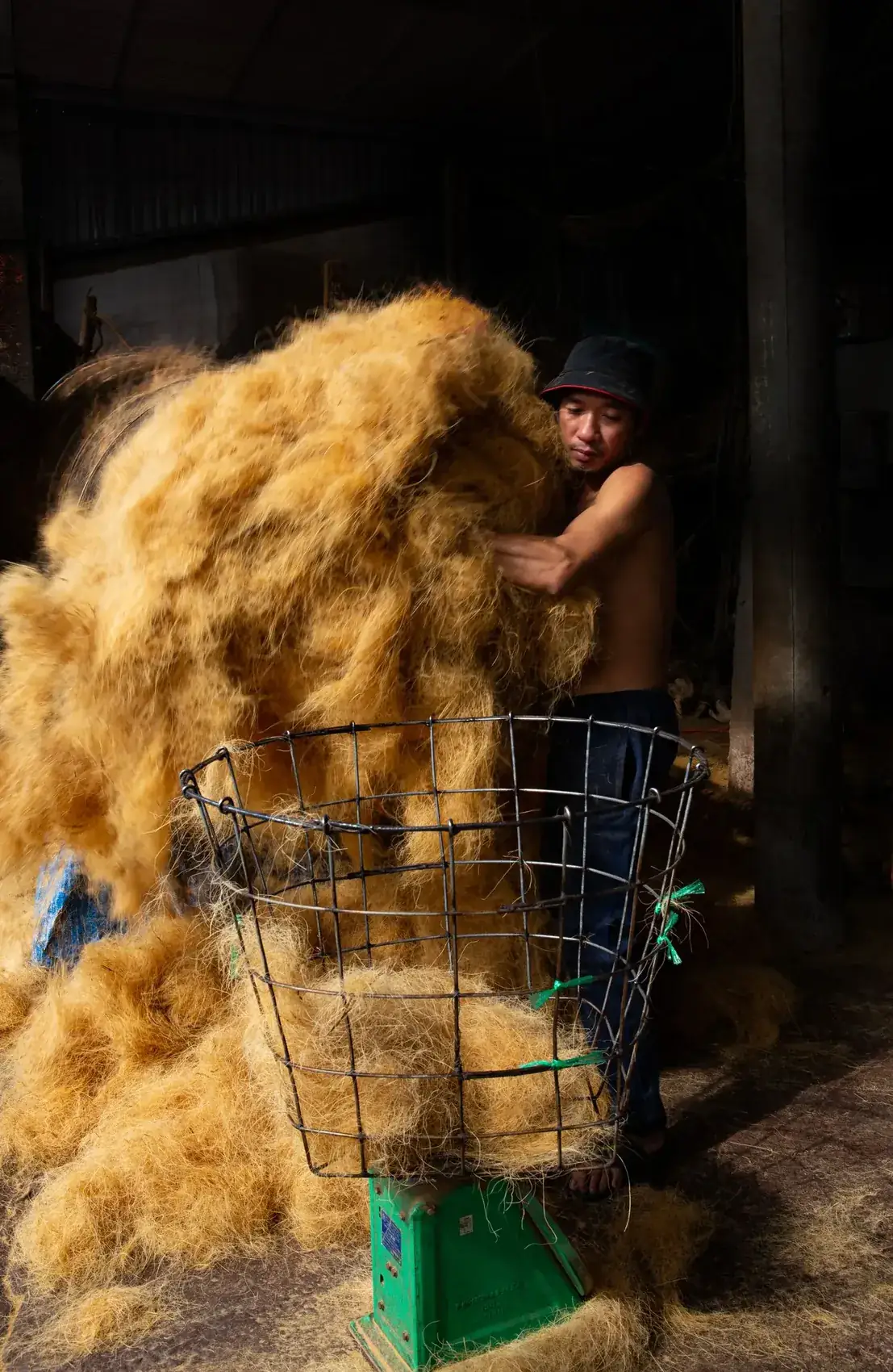 Worker weighing coir fibre at a rural coir unit in India