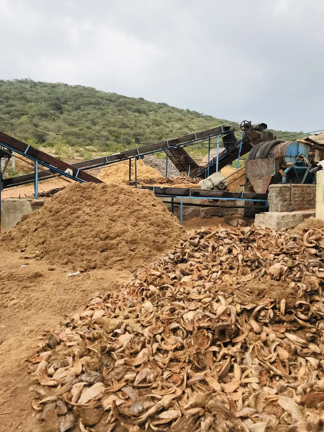 Coconut husk and coir pith yard in Tamil Nadu